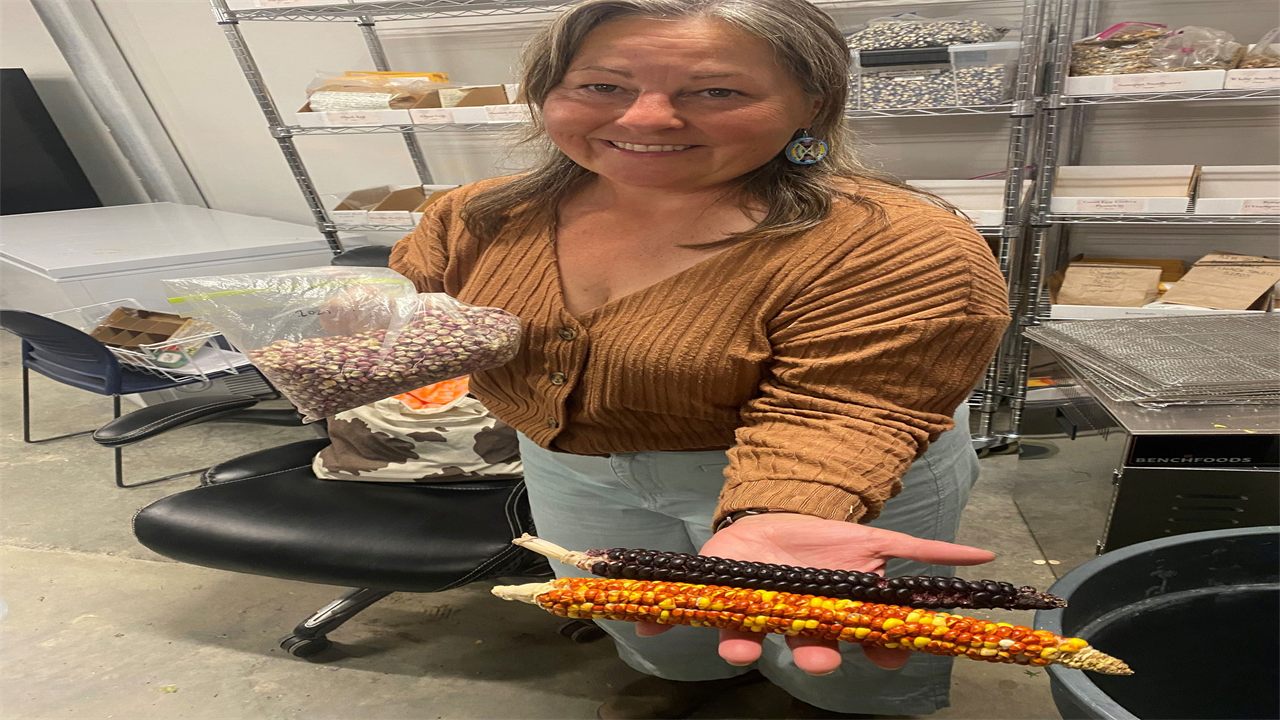 A photo of a woman holding ears of corn to the camera.