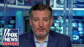 It’s ‘disgraceful’ how Harvard is behaving: Sen. Ted Cruz