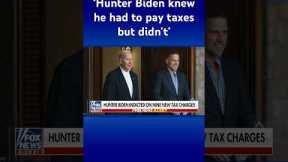 Peter Doocy reveals details of Hunter Biden’s ‘party lifestyle’ #shorts