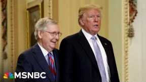 'Knife in the phone booth': Did McConnell find a way to blame Trump if immigration deal goes south?