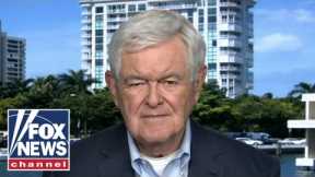 Newt Gingrich calls out liberal hypocrisy: 'Soft'