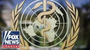 What is the World Health Organization’s ‘global pandemic agreement?’