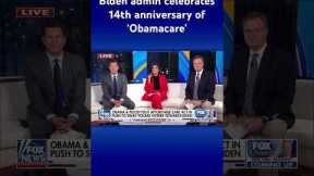 This is a ‘really odd message’ from Democrats: Rachel Campos-Duffy #shorts
