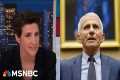 Maddow: Dr. Fauci exemplifies the