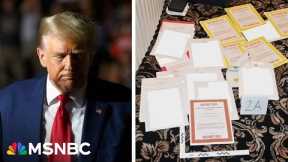 ‘Delay is her middle name!’: Attorney explains why the strongest case against Trump is held up