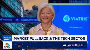 A market pullback of 5-10% is natural and healthy, says Aureus' Kari Firestone