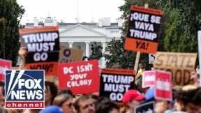 Crowd company CEO spills on paid protester boom in Trump era