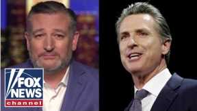 Ted Cruz: Gavin Newsom is 'good at being slick'