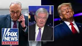 'NO SOLUTIONS!': Gingrich shares evidence of Dems' 'gloom' to Trump's BOOM
