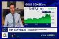 Tim Seymour: Gold has a lot more