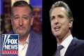 Ted Cruz: Gavin Newsom is 'good at