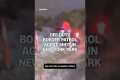 Off-duty Border Patrol agent shot in