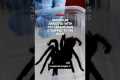 Smuggler arrested with 320 tarantulas 