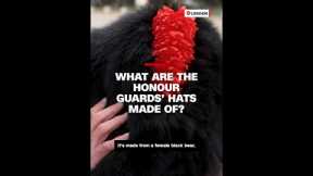 What are the honour guards' hats made of?