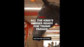 All the king's horses ready for Trump parade