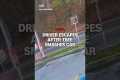 Driver escapes after tree smashes car