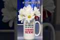 Not just for coffee anymore… Buy the