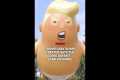 Trump Baby Blimp Creators Say the