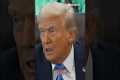 I did ‘VERY WELL' on TikTok: Trump