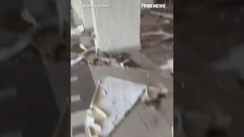 WATCH: Residents in Jamaica survey devastation after deadly Hurricane Melissa #shorts #foxnews #us