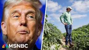 'Everybody is scared to death': Soybean farmer shares struggles amid Trump's tariffs