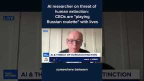 AI researcher on threat of human extinction: CEOs are 'playing Russian roulette' with lives