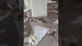 WATCH: Residents in Jamaica survey devastation after deadly Hurricane Melissa #shorts #foxnews #us