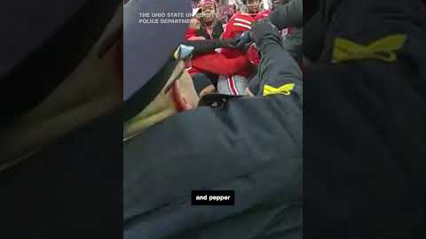 Bodycam video of Ohio State-Michigan football brawl released