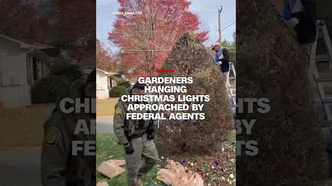 Gardeners hanging Christmas lights approached by federal agents
