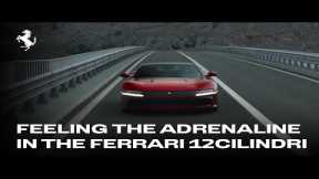  Ferrari 12Cilindri | Turning up the adrenaline in Croatia 