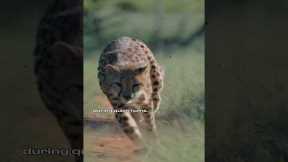  The first episode of our new series #FerrariUnpacked is out soon. Stay tuned. #Ferrari 