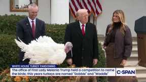 President Trump participates in National Thanksgiving Turkey Pardoning Ceremony