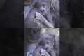 TOO CUTE: Newborn gorilla cuddles up