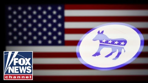 Democratic strategist has a message for fellow party members