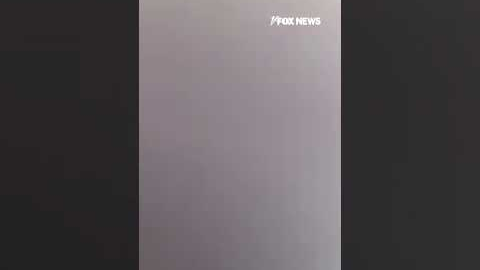 WATCH: Officers rescue woman who appeared to be in crisis standing on a bridge #fox #media #news