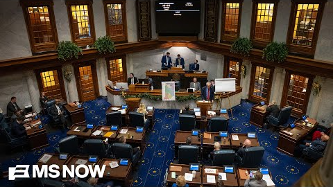 'Not the way America works': Joe lauds Indiana Senate for rejecting Trump-approved voting map