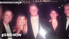 Democrats release more Epstein estate photos