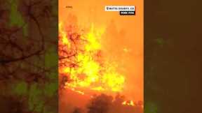 See timelapse footage of California's massive Park Fire