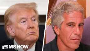 ‘Doesn’t look good in public opinion’: Legal expert breaks down Trump mentions in Epstein files