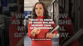 What to know as Brian Walshe murder trial gets underway