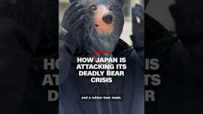How Japan is attacking its deadly bear crisis