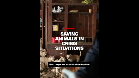 Saving animals in crisis situations