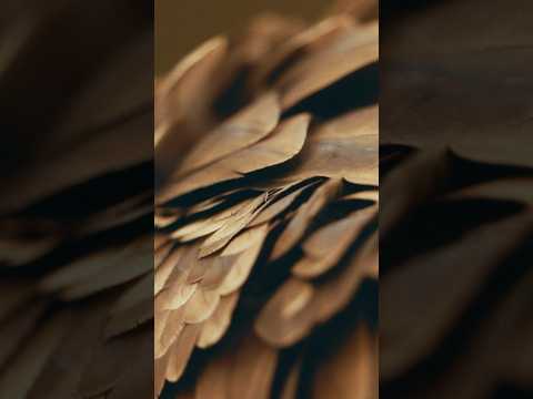  Stay tuned. Episode 2 of #FerrariUnpacked drops tomorrow. #Ferrari 