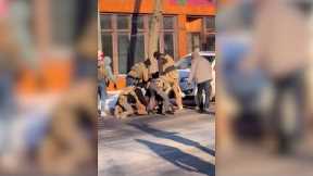 GRAPHIC WARNING: Federal immigration agents confront man moments before fatal shooting