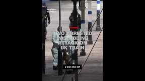 Two arrested in stabbing attack on UK train