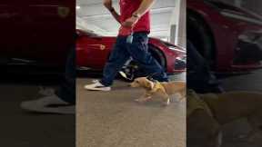  He’s hereeee 💪 #F1Shorts #ScuderiaFerrari 