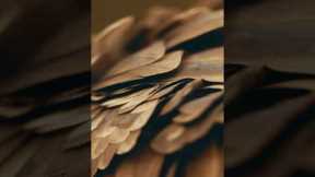  Stay tuned. Episode 2 of #FerrariUnpacked drops tomorrow. #Ferrari 