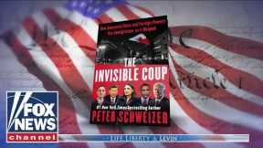 This is 'WEAPONIZED immigration': Author