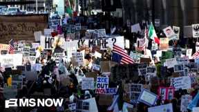 Trump's ICE enforcement 'backfiring,' spurring protests and organizing nationwide