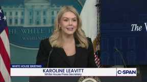 White House Says Minnesota Deadly Incident was Result of larger, sinister, left-wing movement